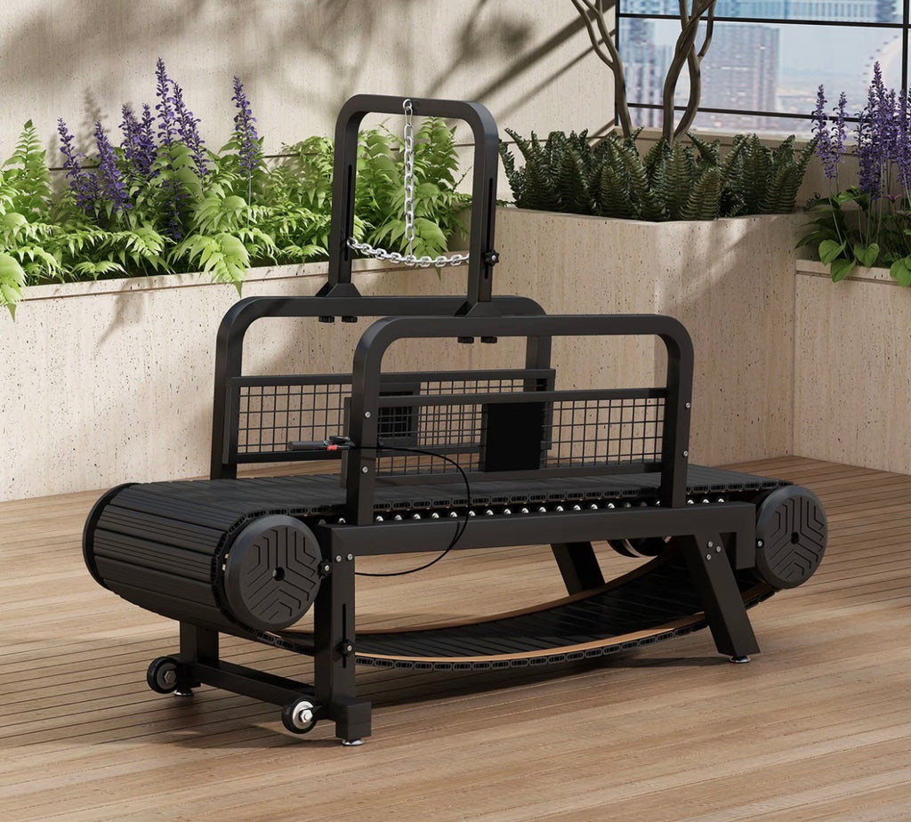 Cinta de correr profesional plegable para perros pequeños/grandes | Máquina de correr para mascotas con velocidad ajustable