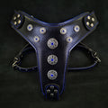 ''Bijou'' harness Black & Blue for big dogs-0